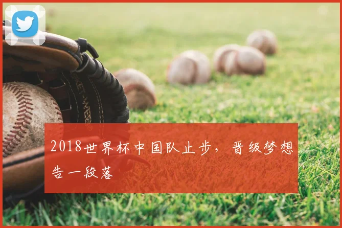 2018世界杯中国队止步,晋级梦想告一段落